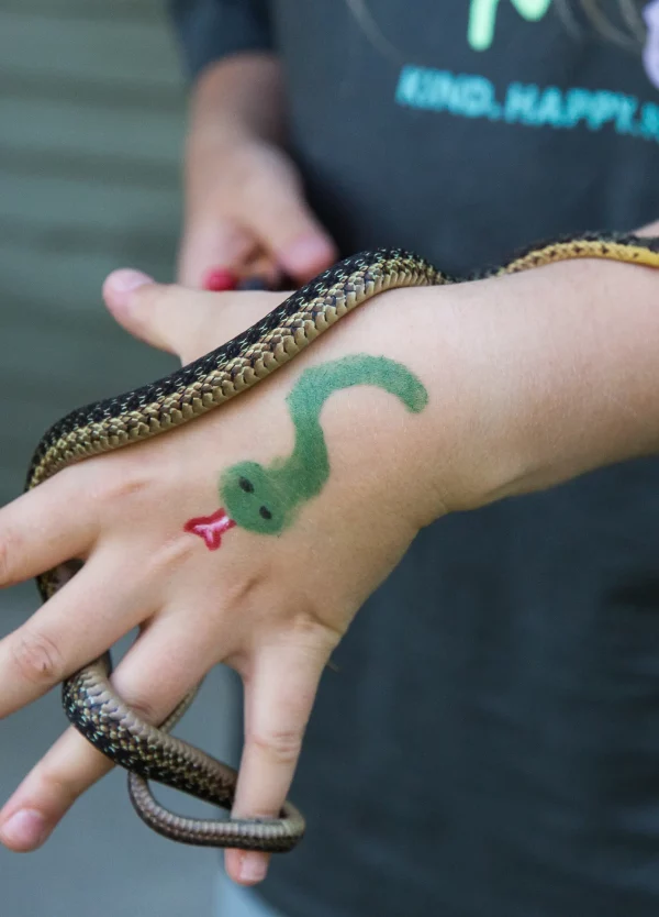 green make-up pencil to draw a snake