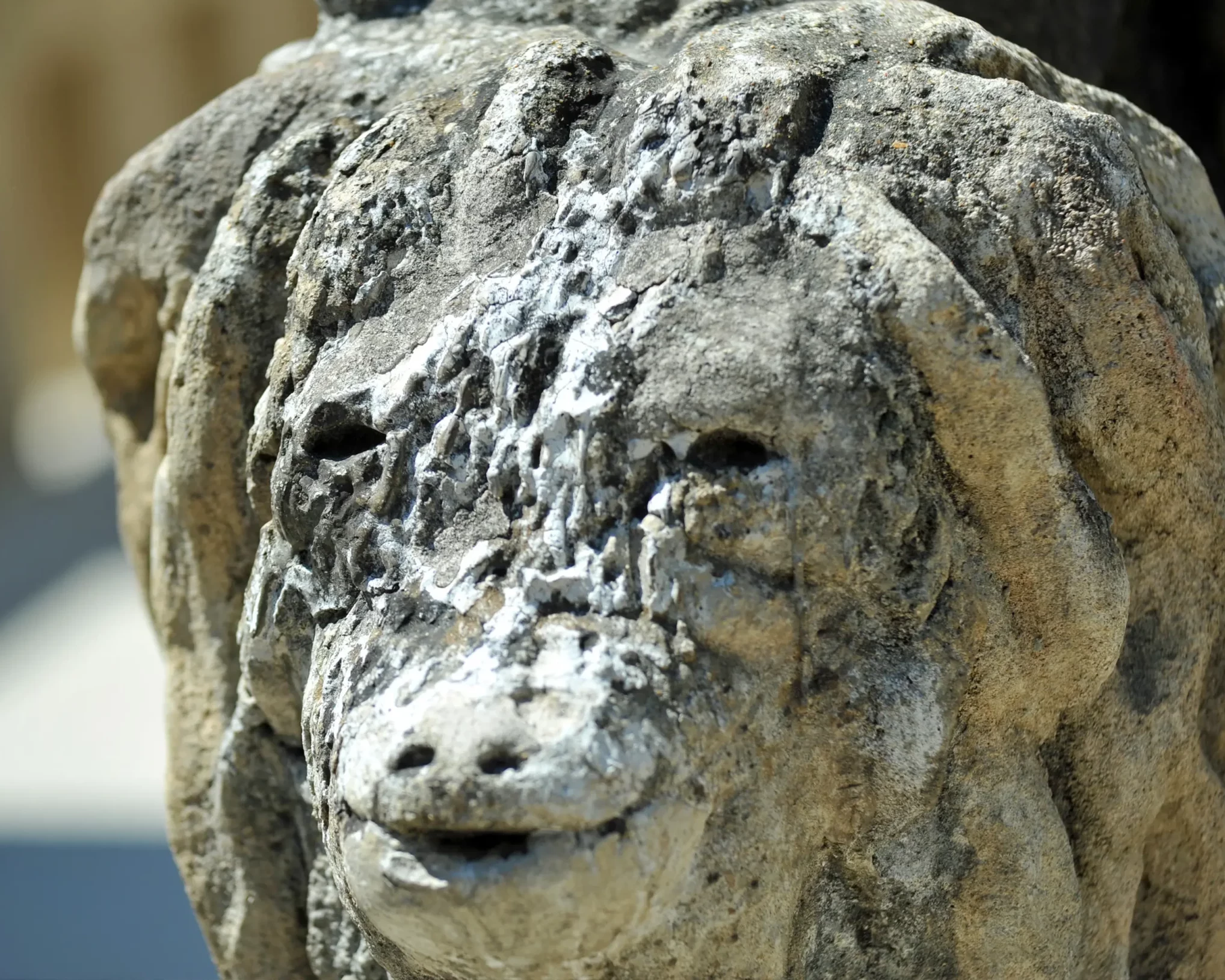 palais facteur cheval