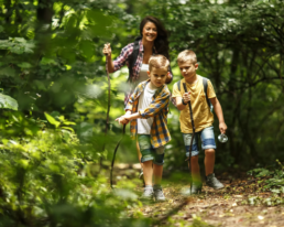 Waldspaziergang mit der Familie