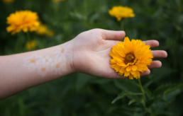 plant 3 Namaki flower makeup
