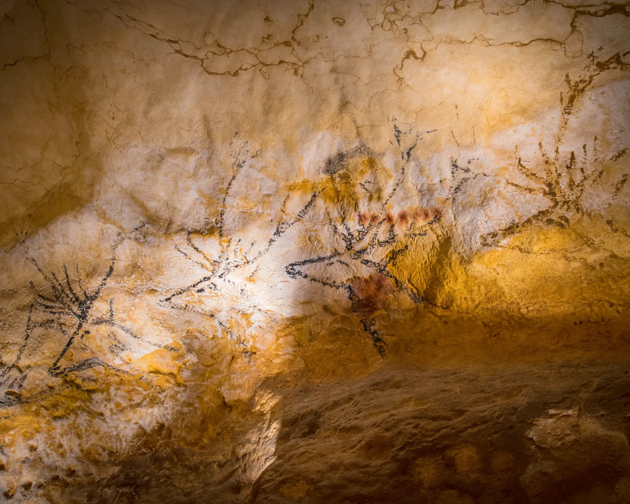 peinture pariétale Lascaux