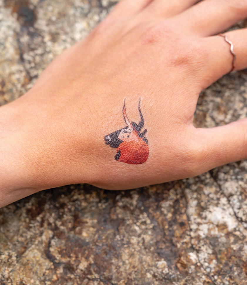 peinture grotte de lascaux
